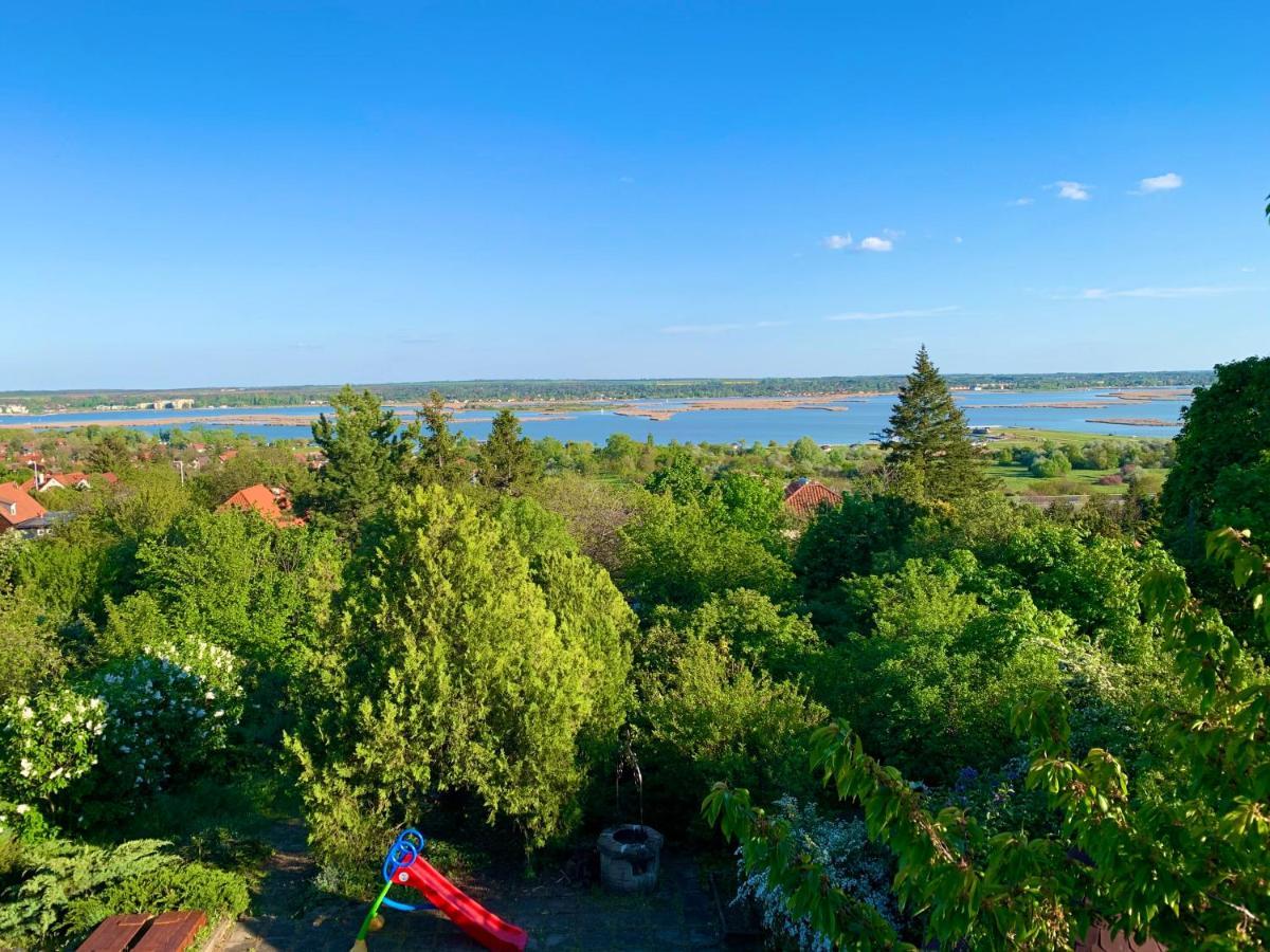 Вилла Velencei Vadregenyes Vendeghaz Экстерьер фото
